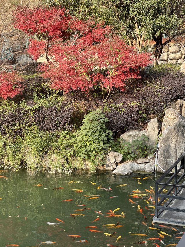 安吉Staycation冬季的聖誕氛圍也太棒啦 安吉Staycation冬季的聖誕氛圍也太棒啦