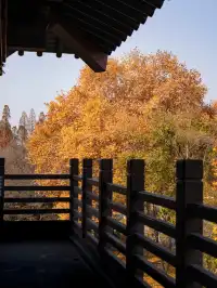 去逍遙津務必上逍遙閣中式秋景太絕了