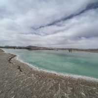 青海秘境｜送你一朵翡翠色的小紅花大柴旦翡翠湖全攻略