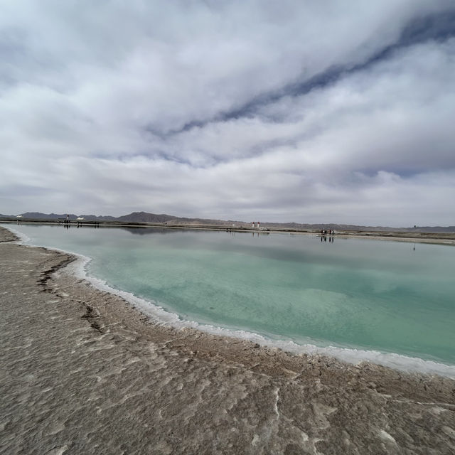 青海秘境｜送你一朵翡翠色的小紅花大柴旦翡翠湖全攻略