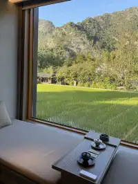 崇左明仕田園記憶