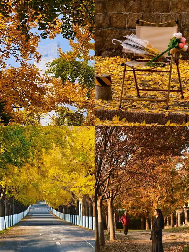 住進青島秋天裡!央視同款路線&沉浸老洋房~ 住進青島秋天裡!央視同款路線&沉浸老洋房~