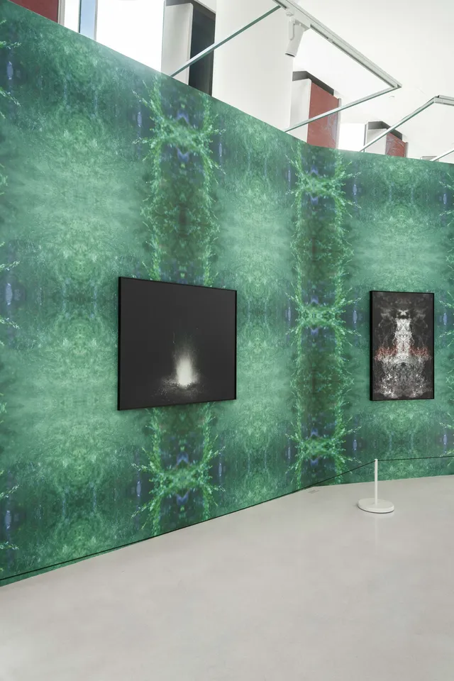 雲際新展｜深圳第一高樓年度藝術大展來了！