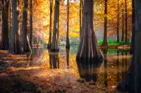 連夜來到南京只為拍到這幾張