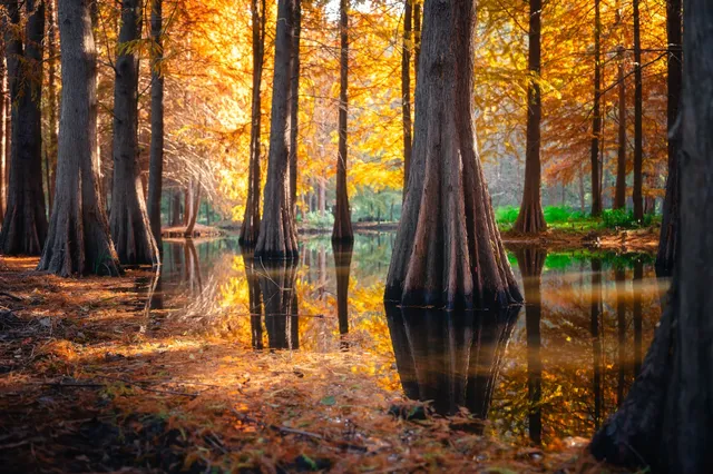 連夜來到南京只為拍到這幾張