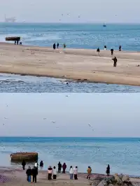 淡季的煙台,簡直是人間理想!