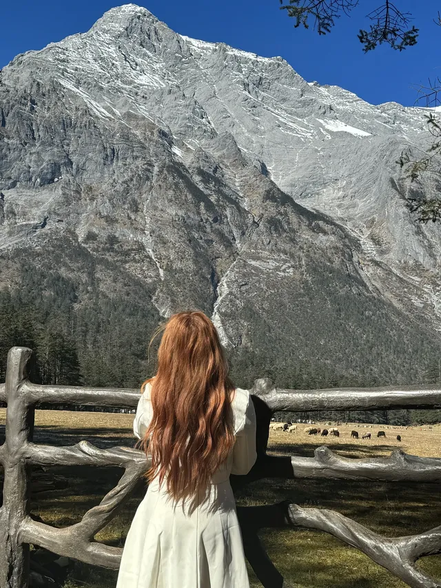 玉龍雪山雲杉坪藍月谷一日遊來了