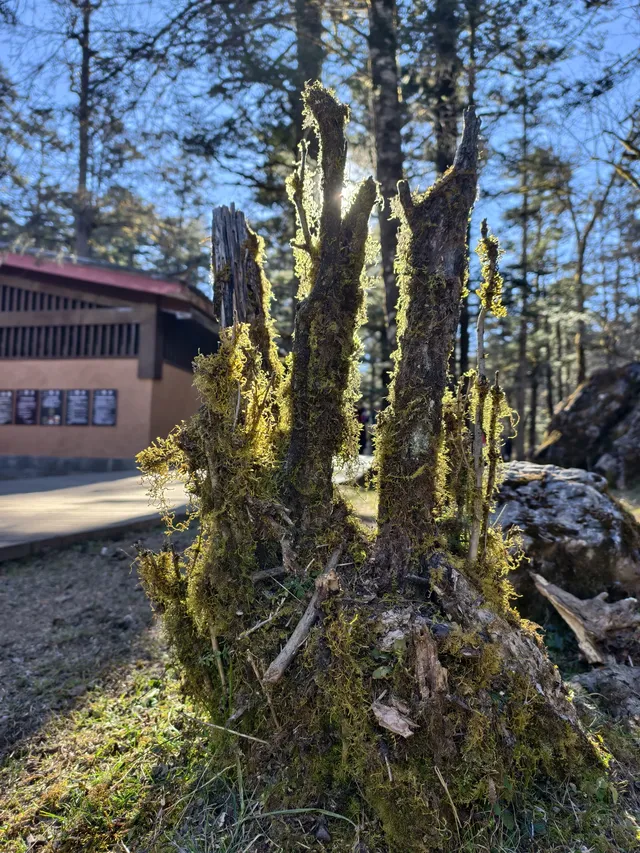 玉龍雪山12月初實況及遊玩路線