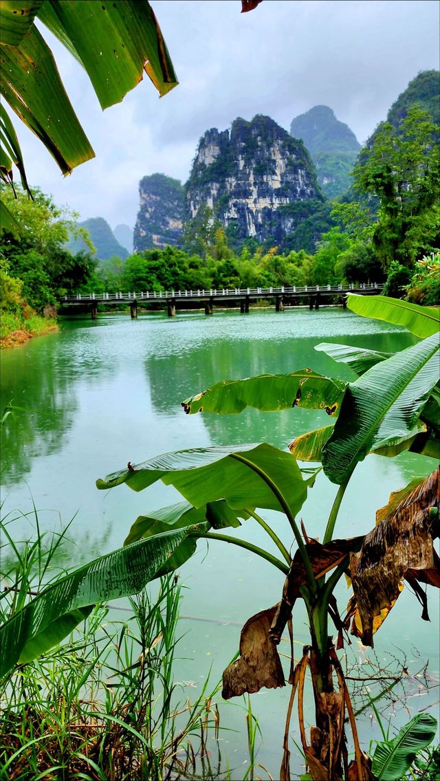 救命!我好像住進了「朋友圈攝影大賽」的評審後台! 救命!我好像住進了「朋友圈攝影大賽」的評審後台!