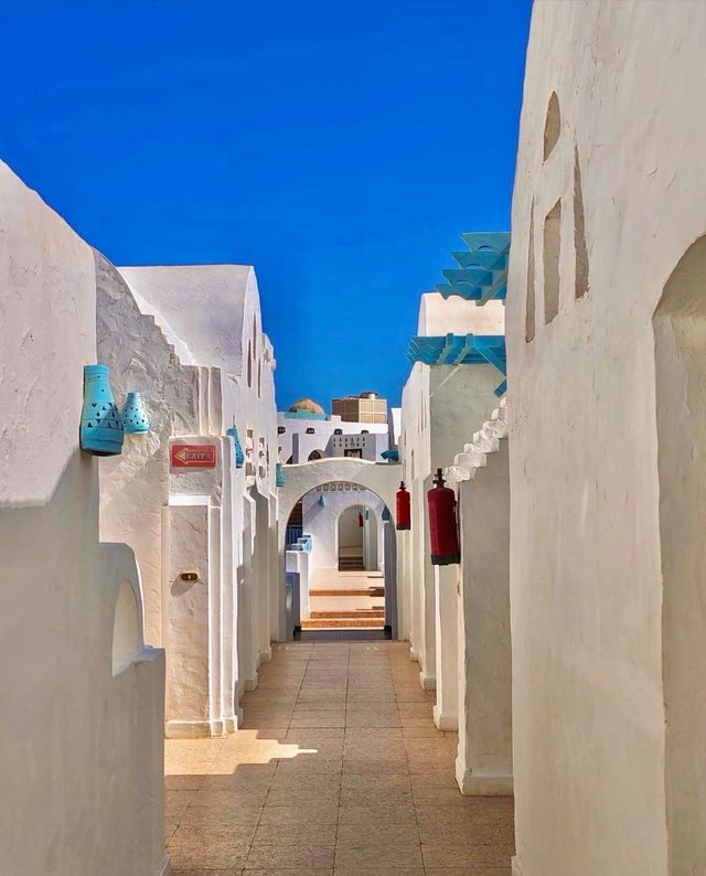 埃及紅海全包酒店天花板!這性價比絕了 埃及紅海全包酒店天花板!這性價比絕了