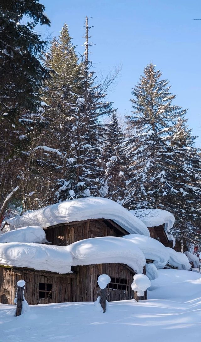 中國最北漠河超全攻略|極光+潑水成冰+馴鹿!3-7日路線 中國最北漠河超全攻略|極光+潑水成冰+馴鹿!3-7日路線