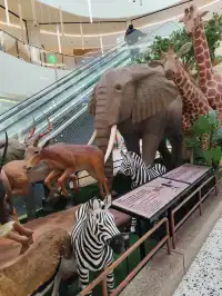 薈聚把北歐雪國搬到魔都,12月份活動攻略