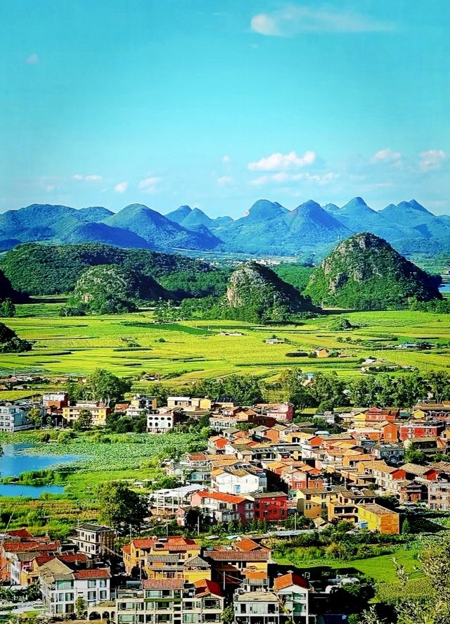 來元陽看一場地球最美的曲線吧! 來元陽看一場地球最美的曲線吧!