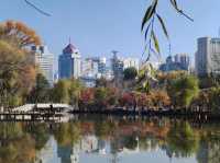 藏在城市裡的詩意秘境 —— 麒麟灣公園