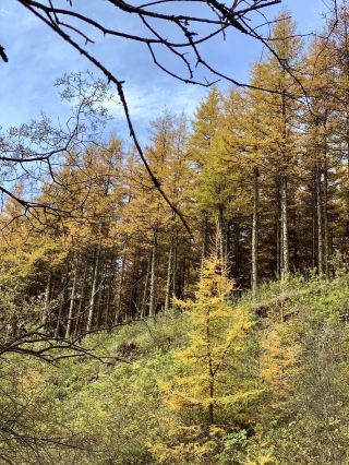 六盤山の絶景滝群を探訪