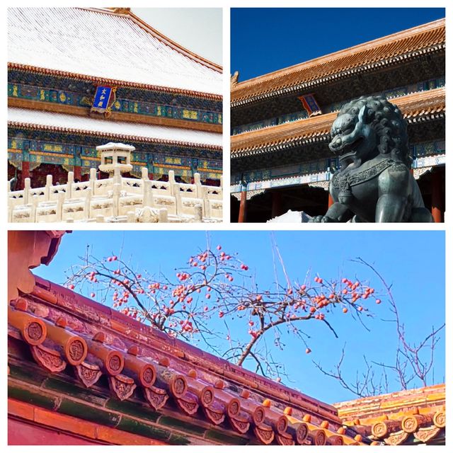 六百年霜雪落滿丹墀的故宮|Trip.com 北京