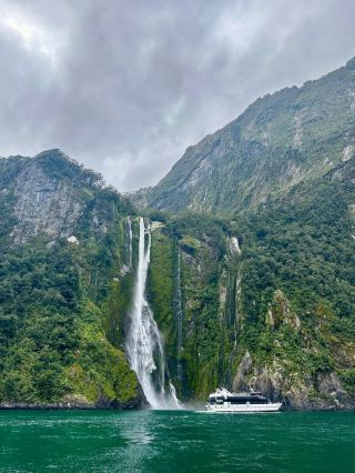 Glacier Wonderland Adventure Milford Sound Cruise Complete Guide｜This is How It Went Viral on Social Media!