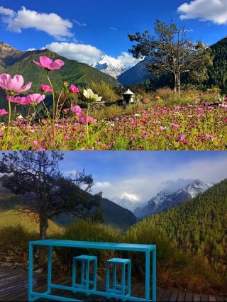 Aiding Meets the Mountains! The Tibetan-style Fairy Nest is Absolutely Stunning