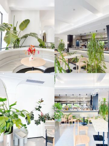 The ceiling of the French light luxury hotel Anshe Perle in Kunming is just amazing!