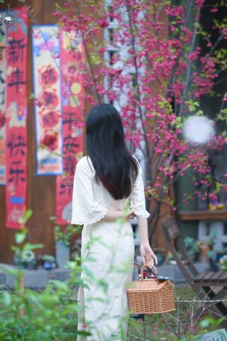 The secret island garden hidden in the alleys of Pingtan Island's county town | March Cherry Blossom Season Travel Photography Legend