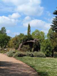 Peaceful Garden with Diverse Plants