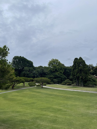 新宿御苑十月光輝-玫瑰、桂花、秋天最柔和的吻