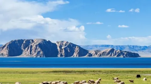 Thung lũng Baipulong, một viên ngọc ẩn giấu ít được biết đến ở Tây Tạng. — traveler post in Qamdo