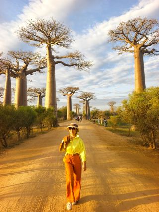 Morondava｜Stroll along the thousand-year-old Baobab Avenue by day and feel the spirit of the African wilderness