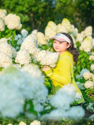 順義超治癒白色繡球花海｜闖入
