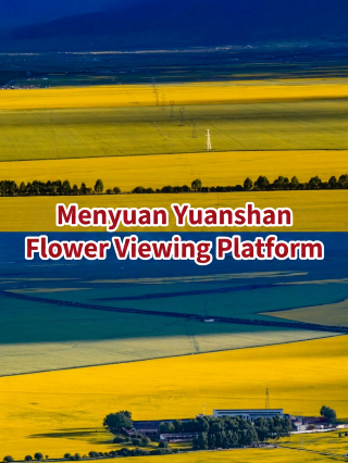 Menyuan Yuan Shan Flower Viewing Platform | The best vantage point for the vast flower fields