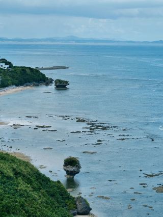 7日間の中秋日本旅行｜至れり尽くせりの完全ガイド