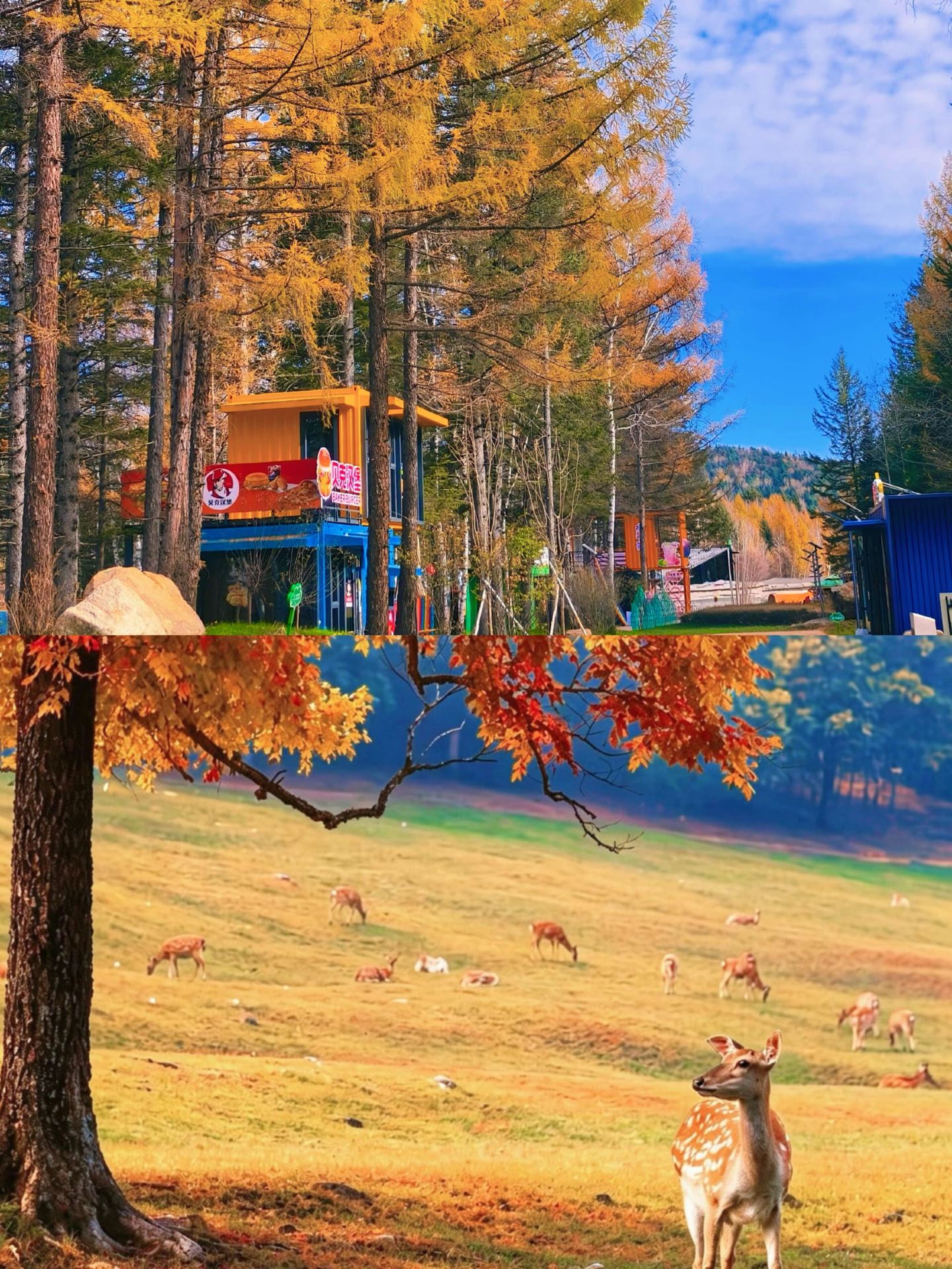 Back from Yichun, it was a struggle | I really don't recommend visiting in Oct–Nov, because it's just too...