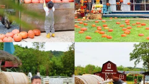Family trips in Jiangsu, Zhejiang, and Shanghai | Step into an autumn pumpkin kingdom — traveler post in Deqing