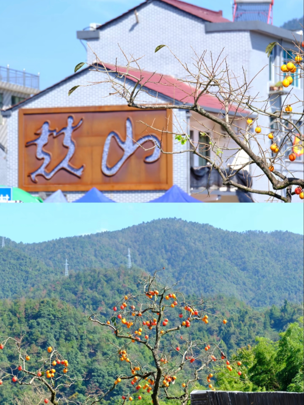 Ancient Village Red with Persimmons Under Mount Tianmu | Xinchang Jingshan Village, Embark on a Mountain Getaway Filled with Good Fortune
