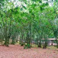 Putuo Village Buddhist Temple