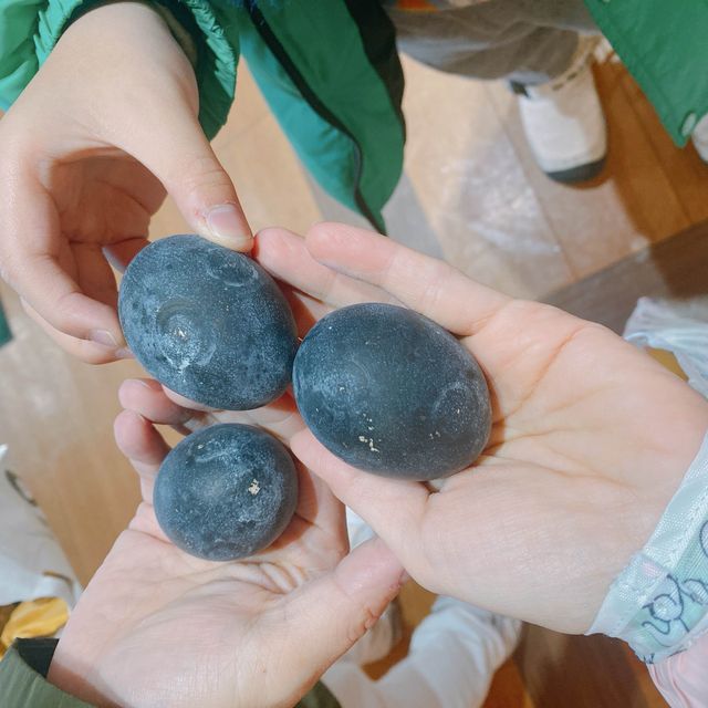 從箱根大涌谷—吃黑色温泉雞蛋 & 觀賞富士山
