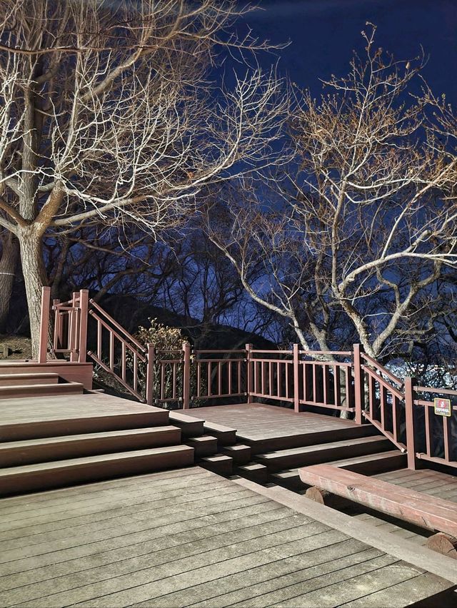 부산에서 야경 보기 좋은 곳🌃