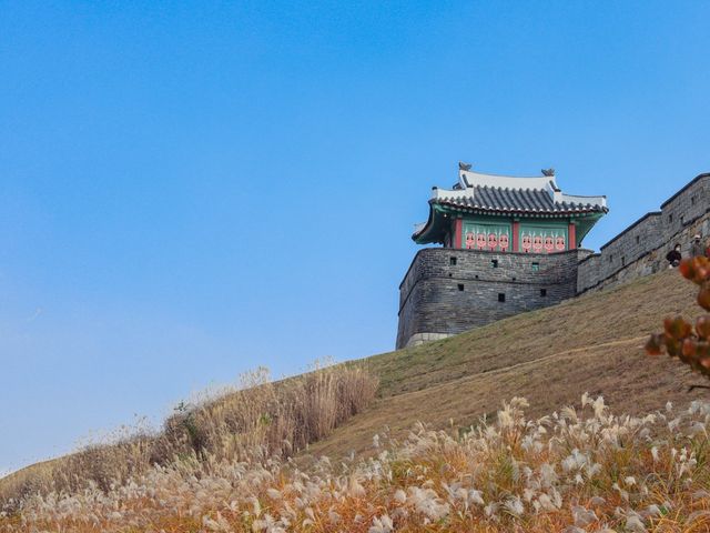 🇰🇷 언제가도 멋스러운 수원 “수원화성”