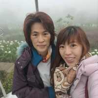 陽明山櫻花盛開啦！到處人山人海，大推苗榜餐廳驚豔的好吃