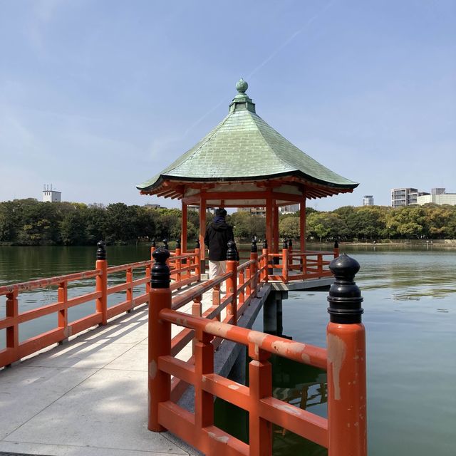 博多　大濠公園　桜が満開
