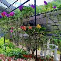 Paradise in our midst