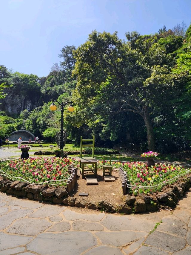 서귀포 힐링 산책길 천연기념물 천지연폭포💧