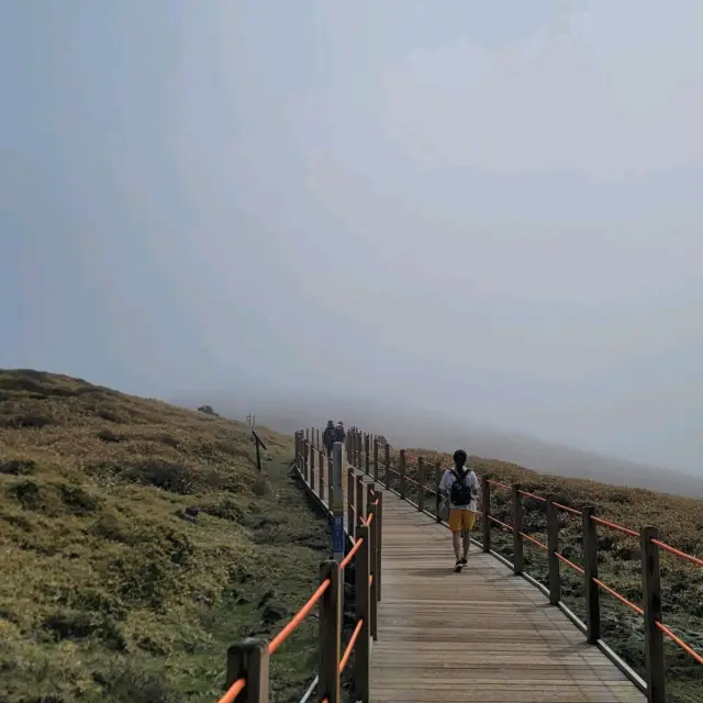 제주여행 제주도 한라산을 오르는 아름다운 등산코스 영실탐방로