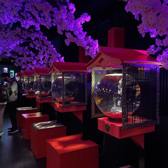 東京最美🗺️銀座藝術水族館🎏🎏🎏