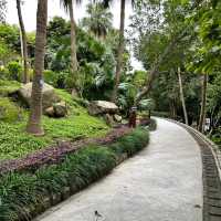 Montanha Russa Garden 