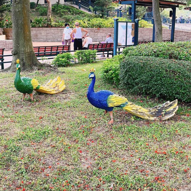 土瓜灣好去處 @ 海心公園