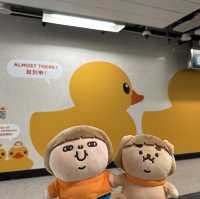 Fatty Puffy meet Duckys