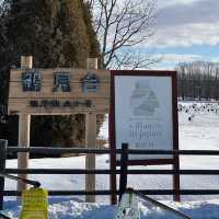 【北海道】道沿いのタンチョウ飛来地!鶴見台!