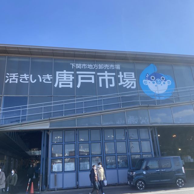 【山口】唐戸市場