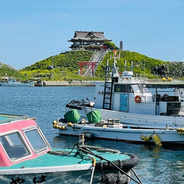【青森県/蕪島神社】4万羽のうみねこと遭遇できる神社